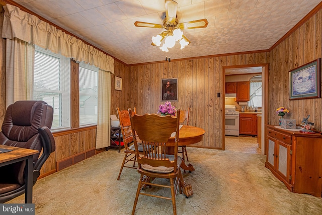 carpeted dining space featuring crown molding, ceiling fan, and wood walls