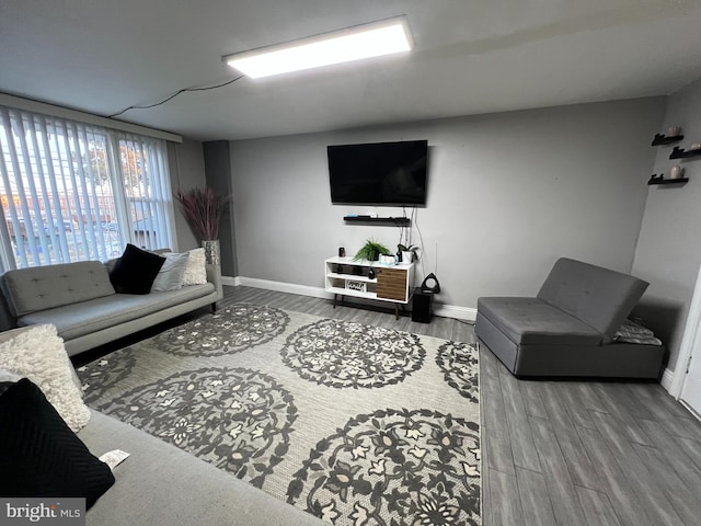 living room featuring wood-type flooring