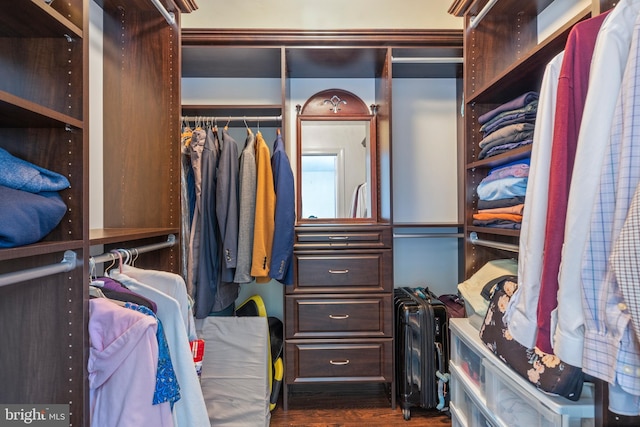 spacious closet featuring dark hardwood / wood-style floors