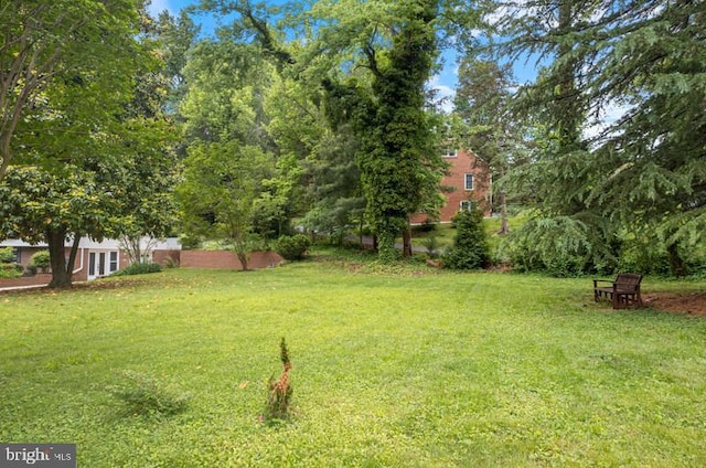 115 Woodland Rd, Fredericksburg, VA 22401 - view of grassy yard
