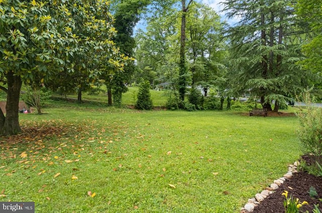 115 Woodland Rd, Fredericksburg, VA 22401 - view of green lawn