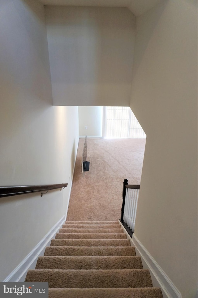 staircase with carpet