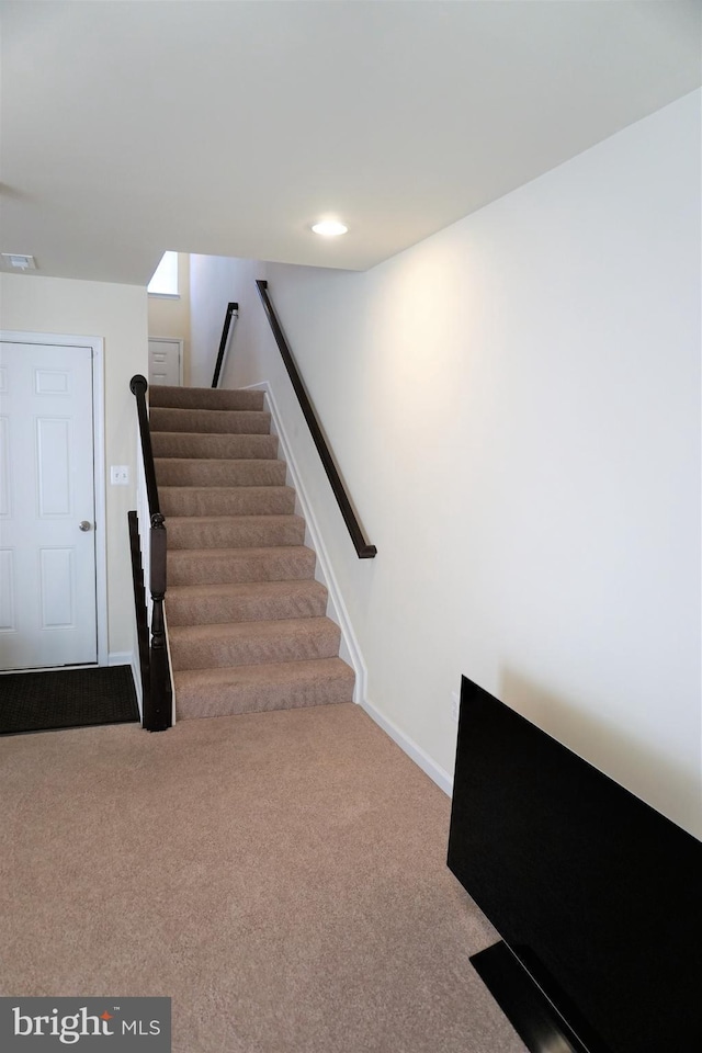 stairway with carpet floors