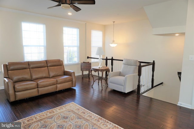 living room featuring ceiling fan, crown molding, and dark hardwood / wood-style floors