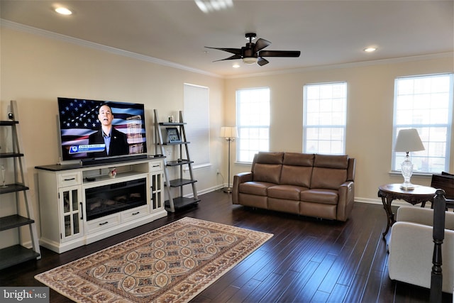 living room featuring dark hardwood / wood-style floors, crown molding, and a healthy amount of sunlight