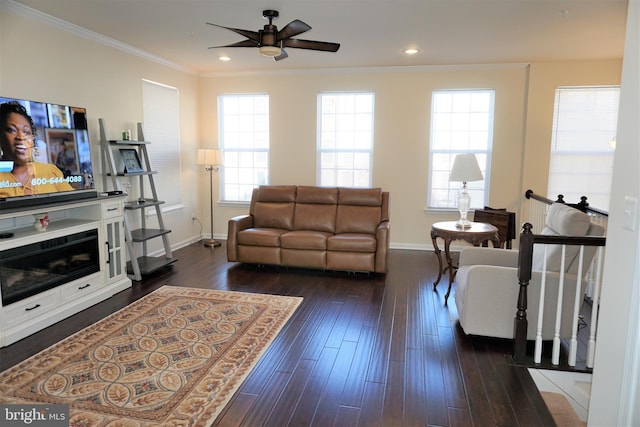 living room featuring ceiling fan, ornamental molding, and dark hardwood / wood-style floors