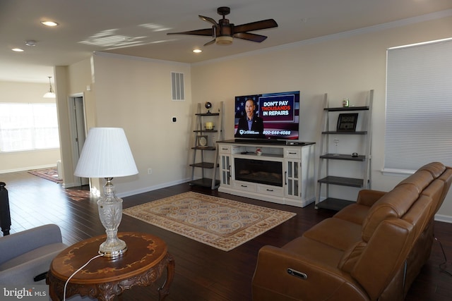 living room featuring ceiling fan, dark wood-type flooring, and ornamental molding