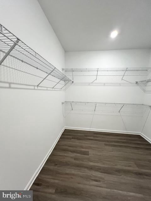 walk in closet with dark wood-type flooring