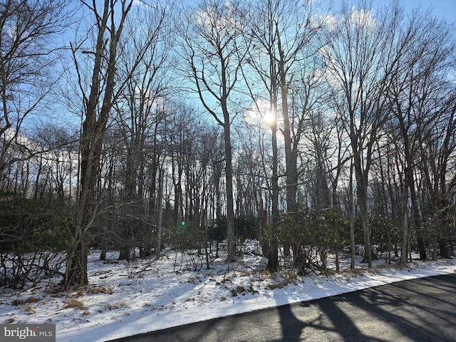 0 Stillwater Dr, Pocono Summit PA, 18346 land for sale