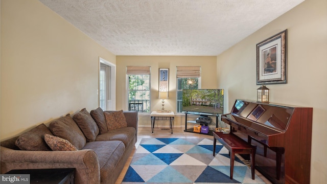 living room with a textured ceiling