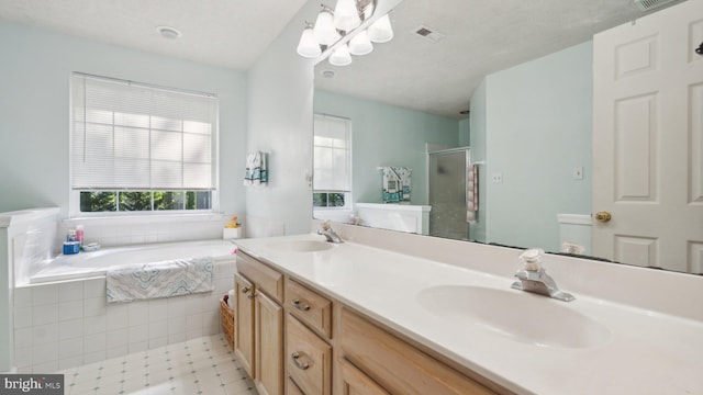 bathroom featuring vanity and separate shower and tub