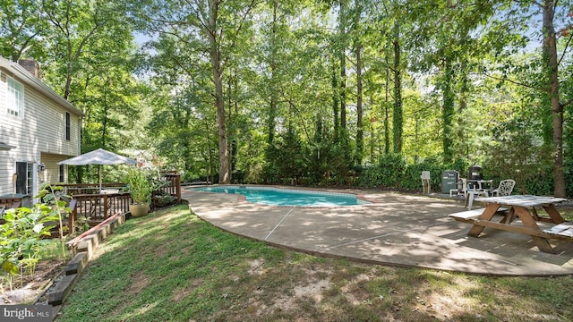 view of swimming pool with a patio area