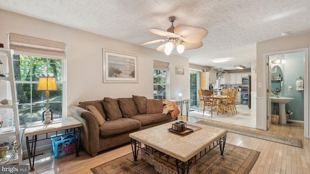 living room with ceiling fan, sink, light hardwood / wood-style floors, and a textured ceiling