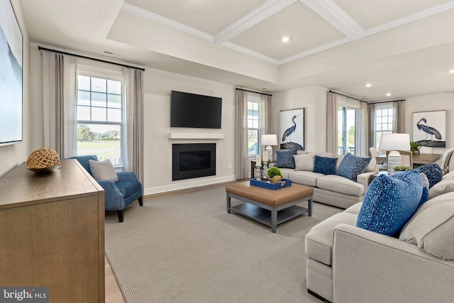 living room featuring crown molding and beamed ceiling