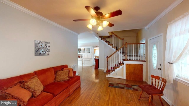 living room featuring wood-type flooring, ceiling fan, and crown molding