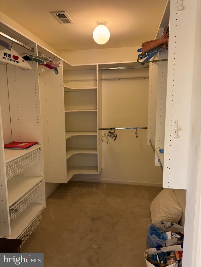 spacious closet featuring carpet