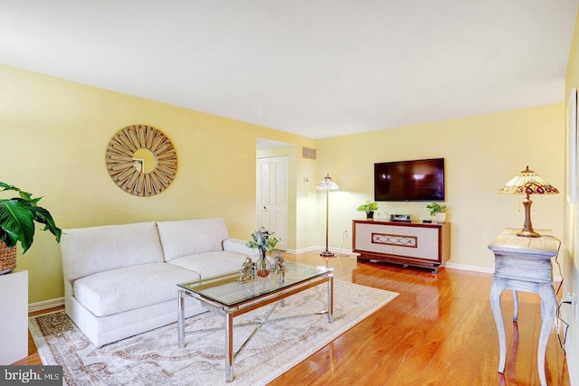 living room with hardwood / wood-style floors