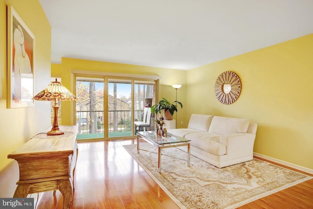 living room with hardwood / wood-style floors