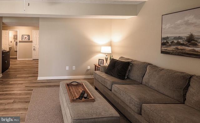 living room featuring hardwood / wood-style flooring