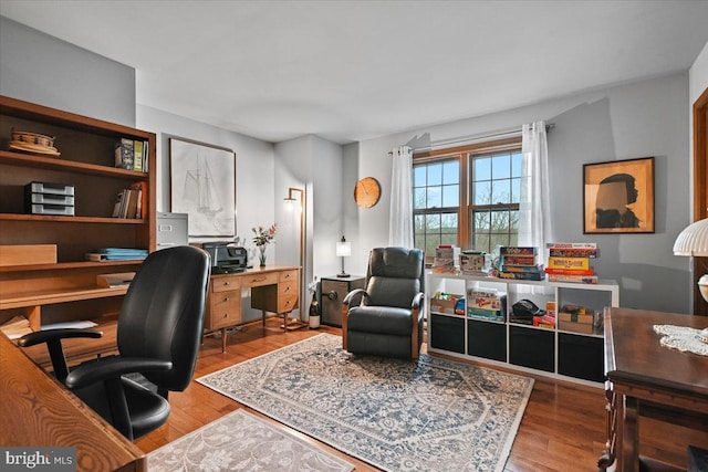 office featuring wood-type flooring