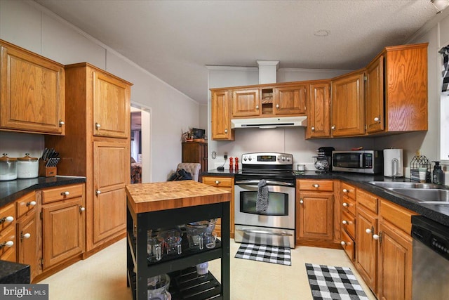 kitchen with sink, wooden counters, crown molding, and appliances with stainless steel finishes