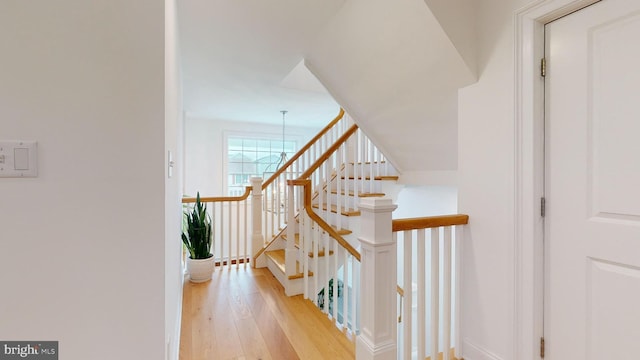 staircase featuring hardwood / wood-style flooring