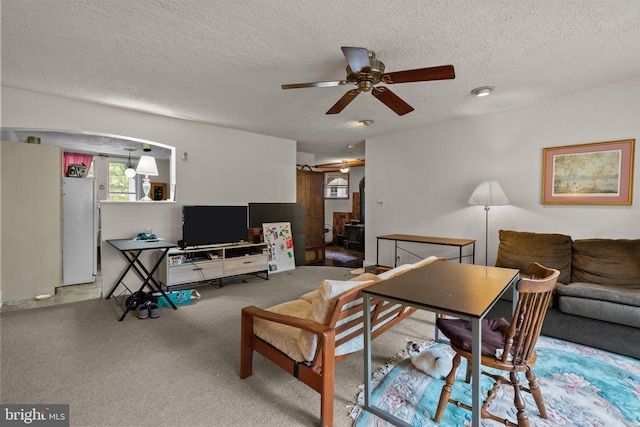 living room with a textured ceiling, ceiling fan, and a wood stove