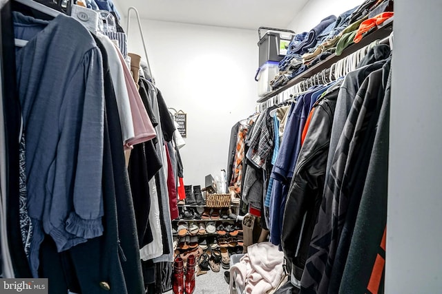 walk in closet featuring carpet