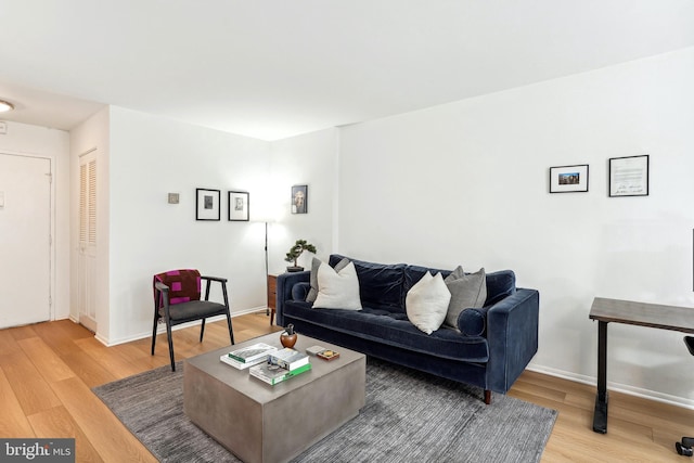 living room with hardwood / wood-style floors