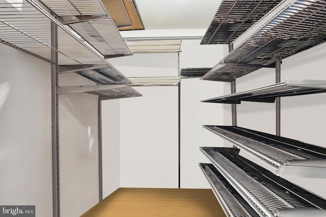 walk in closet featuring light hardwood / wood-style floors