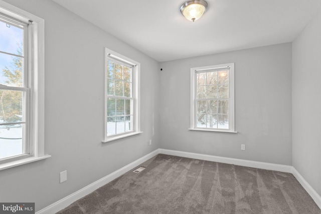 carpeted spare room featuring a wealth of natural light