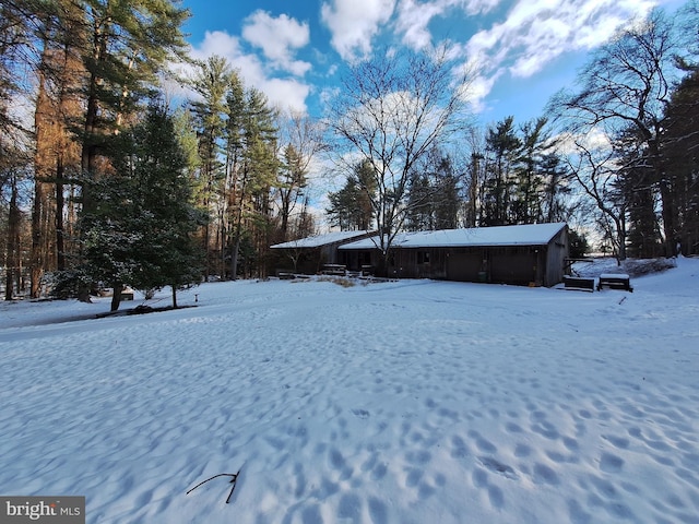 view of yard covered in snow