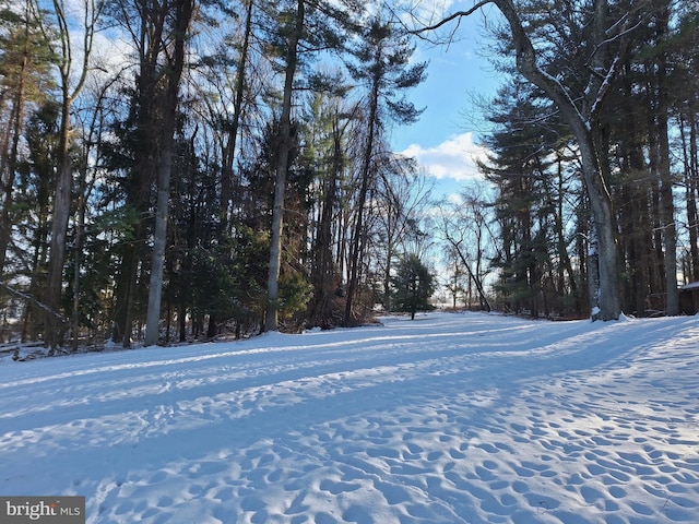 view of yard layered in snow