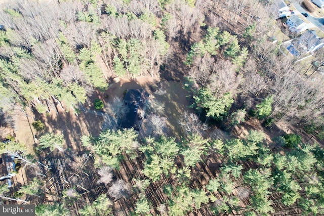 bird's eye view featuring a wooded view