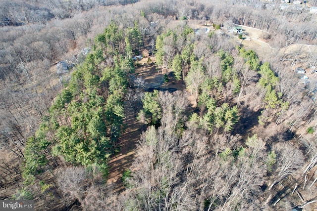 bird's eye view featuring a forest view