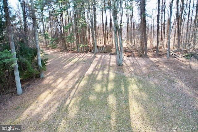 view of yard featuring dirt driveway