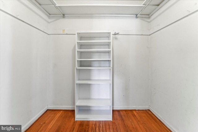 spacious closet with hardwood / wood-style floors