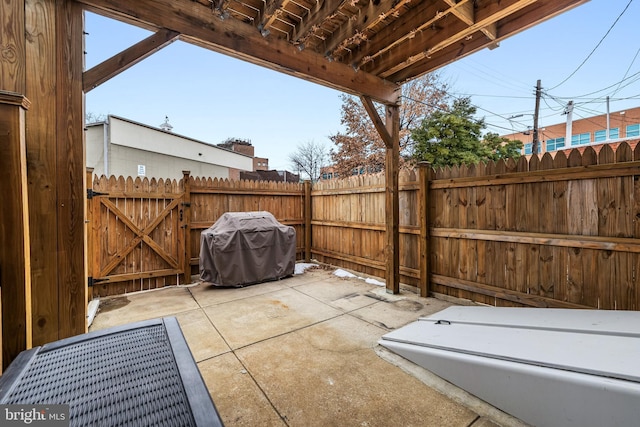 view of patio / terrace featuring area for grilling