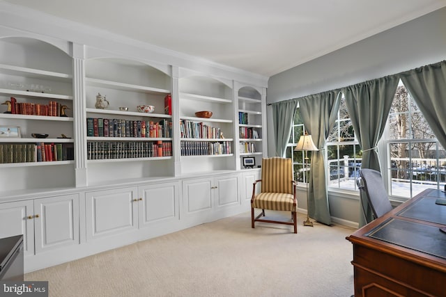 sitting room with light carpet and built in features