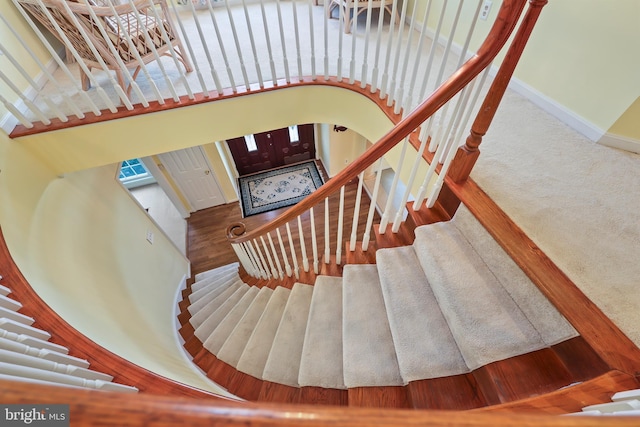 stairway featuring wood-type flooring