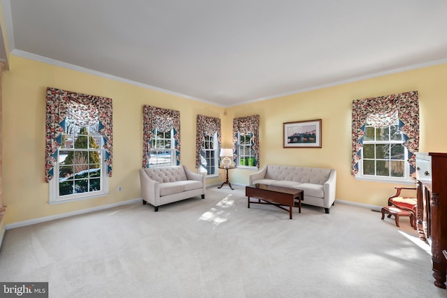 carpeted living room with a wealth of natural light and ornamental molding