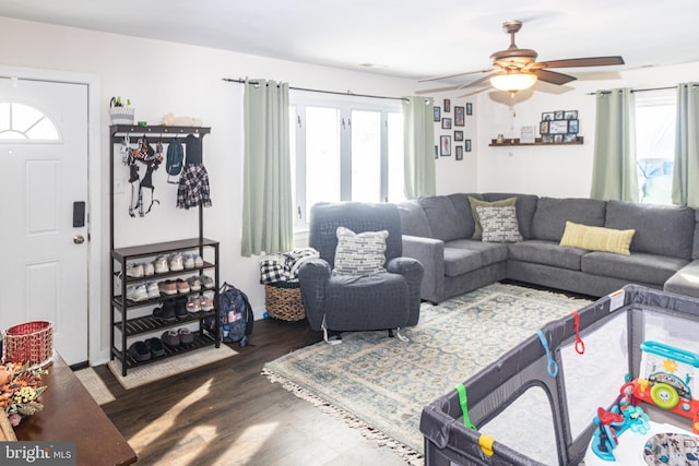 living room featuring ceiling fan and dark hardwood / wood-style floors