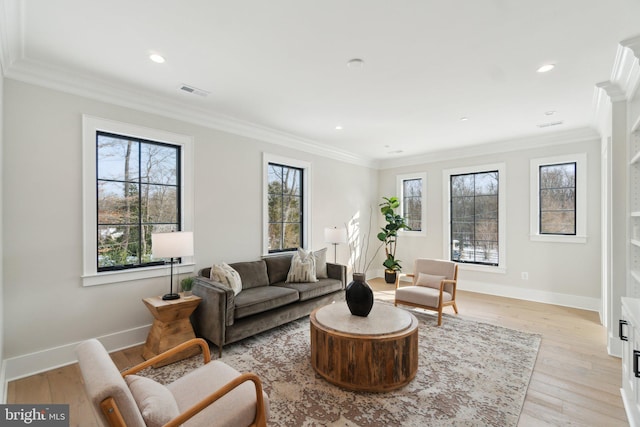 living room featuring light hardwood / wood-style floors, a healthy amount of sunlight, and ornamental molding