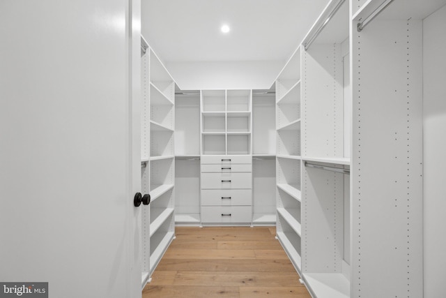 spacious closet with light wood-type flooring