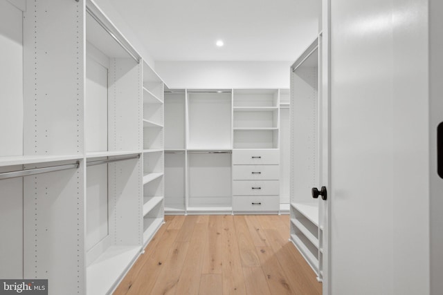 walk in closet featuring wood-type flooring