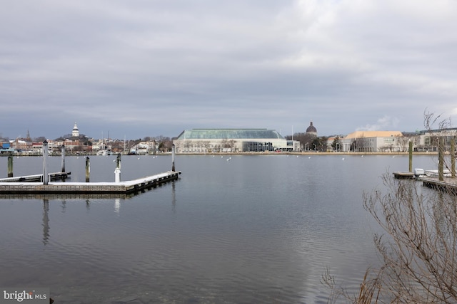 dock area with a water view