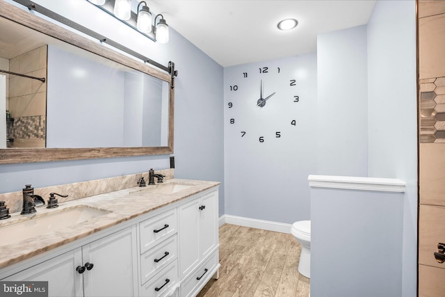 bathroom featuring toilet, vanity, and wood-type flooring