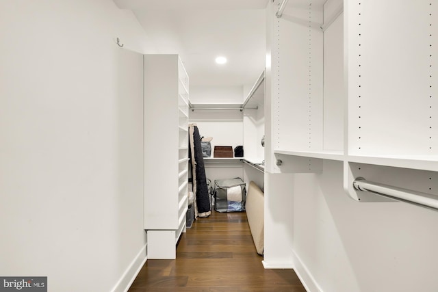 walk in closet with dark wood-style floors