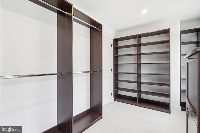 walk in closet with carpet flooring