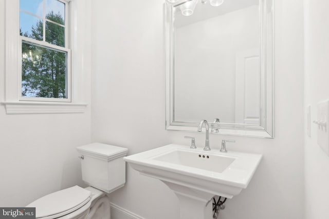 bathroom featuring sink and toilet